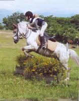 TREC le 29 mars 2009